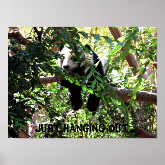 Baby Panda Humorous Poster (Frente)