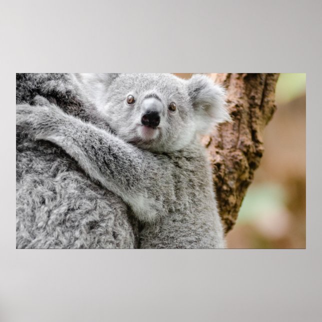 Baby Poster (Frente)