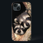 Baby Raccoons saindo da árvore<br><div class="desc">Bebês-guaxinim na cavidade da árvore (Perfurador de prócônio)| Adam Jones / DanitaDelimont.com| NA02 AJE0283</div>