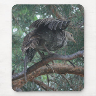 Baby Turkey Mousepad