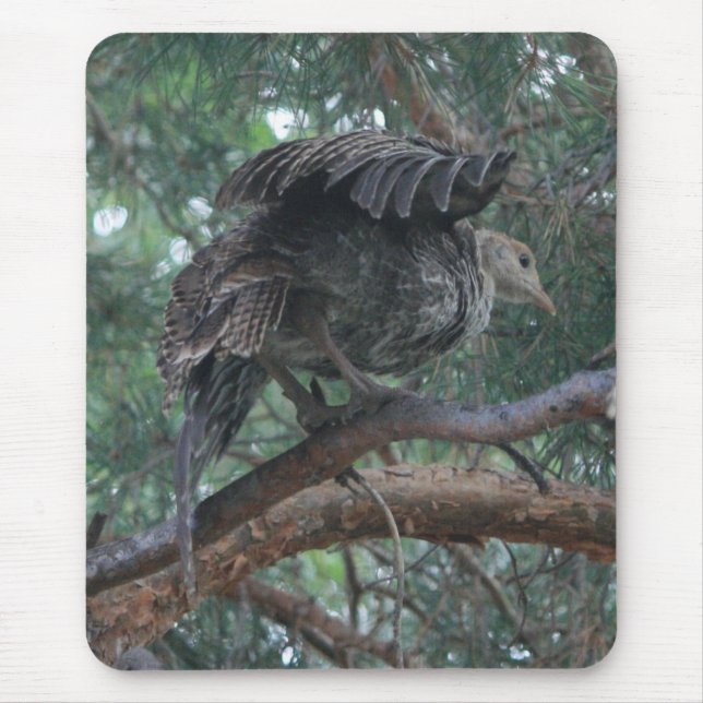 Baby Turkey Mousepad (Frente)