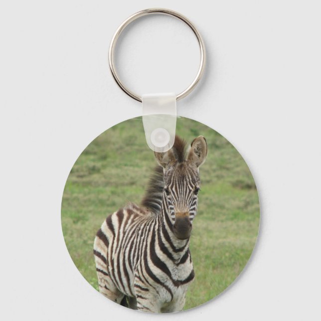 Baby Zebra Chaveiro (Frente)