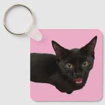 Baby Zina – Gatinho Preto Chaveiro Fofo