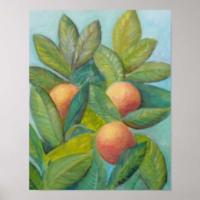 BACKYARD FLORIDA ORANGES Poster (Frente)