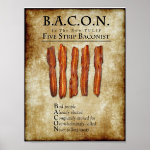 BACON: É o poster novo da TULIPA