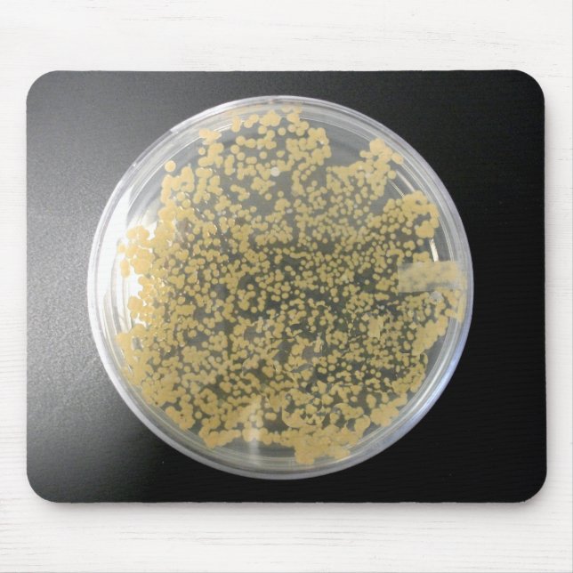 Bacteria Cultura Plate Mousepad (Frente)