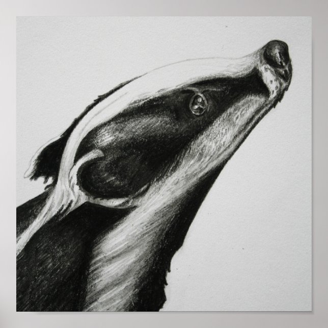 Badger Impressão (Frente)