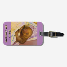 Animais Fofos: As preguiças são uma etiqueta de ba