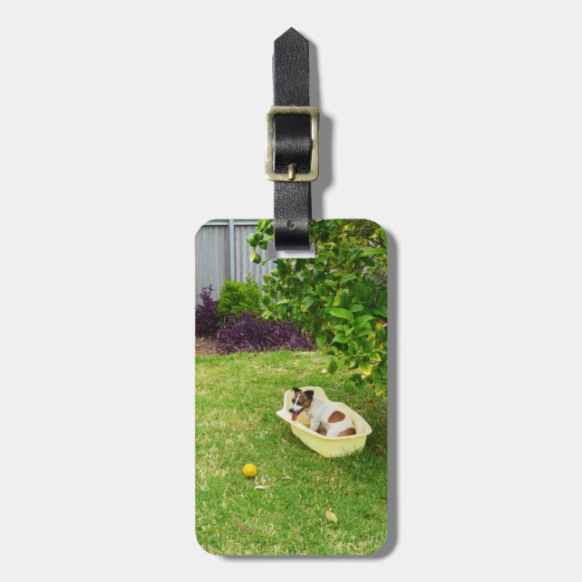 Bagagem Charlie, A Fox Terrier Bath Time, Etiqueta De Baga (Frente Vertical)