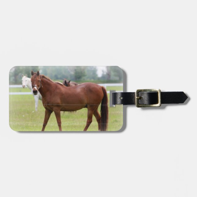 Bagagem Etiqueta de bagagem/Cavalos (Frente Horizontal)