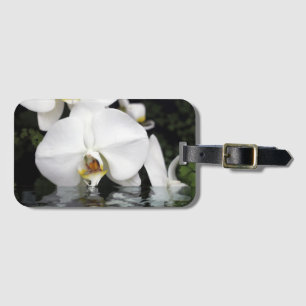 Bagagem Orquídeas Brancas Emergentes da Etiqueta de Bagag