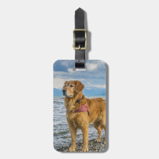 Bagagem Ouro Retriever Insira Sua Própria Etiqueta De Baga