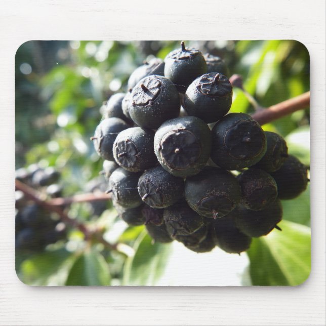 Bagas Mousepad da hera (Frente)