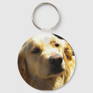 Bailey, o Chaveiro do Ouro Retriever