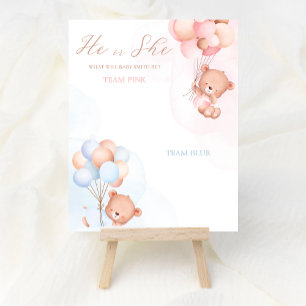 Balão Bear Boy ou Menina Sexo Revelar Poster