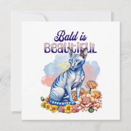 Bald é Bonito | Gato sem pelo