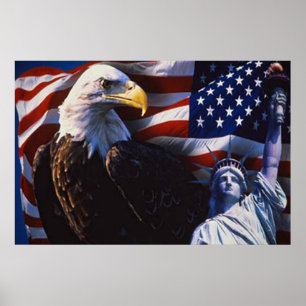 Bald Eagle 4 De Julho poster 5