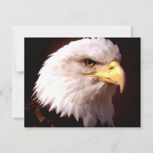 Bald Eagle American Eagle