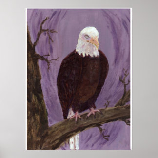 Bald Eagle Art Impressão