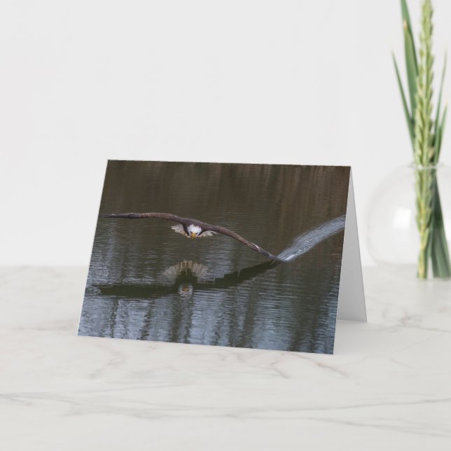Bald Eagle em Cartão de Saudação de Voo (Frente)