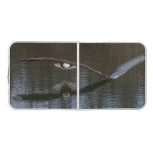 Bald Eagle em Voo
