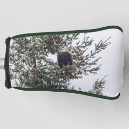 Bald Eagle P2825