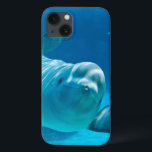 Baleia da beluga<br><div class="desc">Uma baleia curiosa e amigável da beluga em um © da visão e em um ® subaquáticos Bigstock® - todos os direitos reservados.</div>