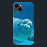 Baleia da beluga<br><div class="desc">Uma baleia curiosa e amigável da beluga em um © da visão e em um ® subaquáticos Bigstock® - todos os direitos reservados.</div>