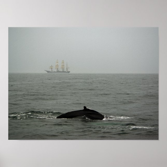 Baleia Jubarte e Impressão de Navio Alto (Frente)