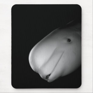 Baleia Mousepad da beluga