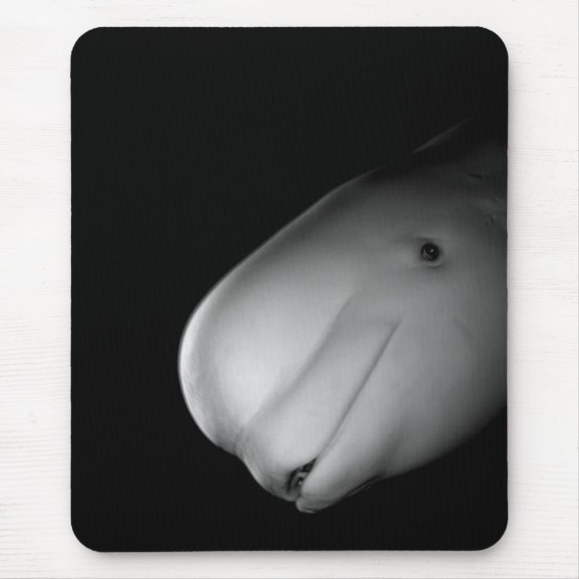 Baleia Mousepad da beluga (Frente)