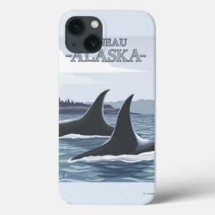 Baleias #1 da orca - Juneau, Alaska