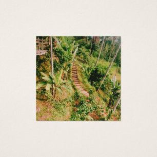 Bali, floresta tropical