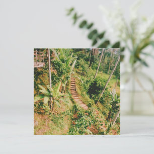 Bali, floresta tropical