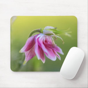 Ballerina rosa - Columbina no Mousepad Movido