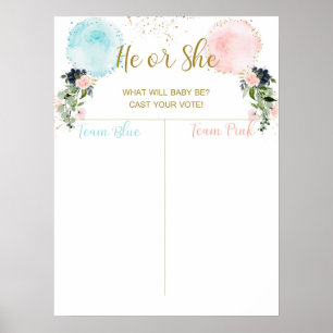 Balões - Faça o seu voto, menina ou Poster