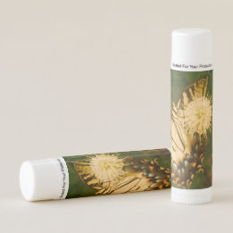 Bálsamo Labial Monarca Amarelo