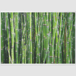 Bambu Decoupage 24 Papel Tecido de Fundo