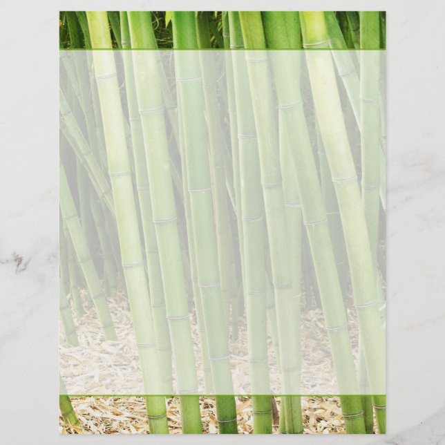 Bambu Verde (Frente)