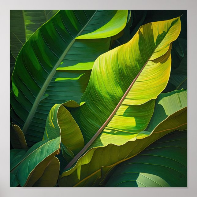 Banana deixa Impressão (Frente)