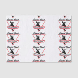 Banda De Papel Tecido Falconland