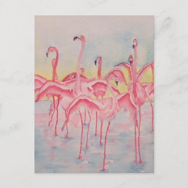 BANDA NO CARTÃO POSTAL DE EXECUÇÃO (Frente)