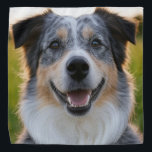 Bandana Adicionar Foto Pet Personalizar<br><div class="desc">Adicionar Foto Pet Personalizar,  Adicionar Foto Pet,  Adicionar Foto De Cão,  Pet,  Pets,  Cão,  Personalizar,  Personalizar,  Foto,  Conteúdo Geral</div>