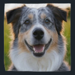 Bandana Adicionar Foto Pet Personalizar<br><div class="desc">Adicionar Foto Pet Personalizar,  Adicionar Foto Pet,  Adicionar Foto De Cão,  Pet,  Pets,  Cão,  Personalizar,  Personalizar,  Foto,  Conteúdo Geral</div>