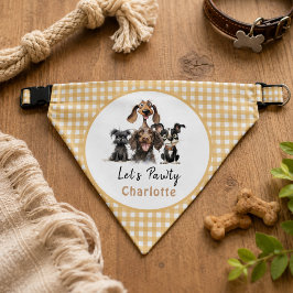 Bandana Cão Vamos Pawty Birthday
