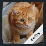 Bandana Modelo de Fotografia Personalizada de Gato de Pet<br><div class="desc">Este design pode ser personalizado na área fornecida pela alteração da foto e/ou do texto. Ou pode ser personalizado escolhendo o clique para personalizar outra opção e excluir ou alterar a cor, o plano de fundo, adicionar texto, alterar a cor ou o estilo do texto ou excluir o texto de...</div>