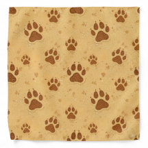 Pawprints in the sand