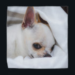 Bandana Your pet dog puppy custom photo chihuahua<br><div class="desc">Your pet dog puppy custom photo chihuahua. 
Customize it with Your photo of pets,  dogs,  cats.. Lovely custom gift for animal lovers. 
dog, puppy, animal, custom photo, cute, pets,  chihuahua</div>