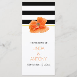 Bandas brancas pretas, programa de casamento de pa