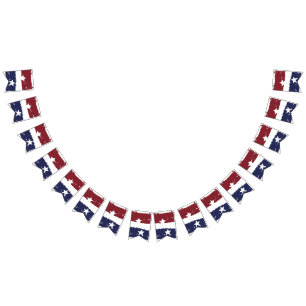Bandeira afligida da bandeira dos Estados Unidos